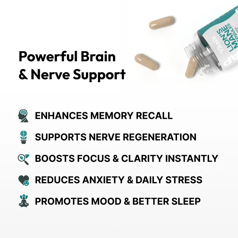 Why Lion’s Mane in Pakistan Is Becoming a Go-To Choice for Focus and Memory Support